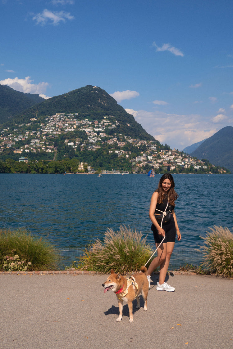 Woman using Saint Argo leash walking a dog by a lake with mountains in the background.