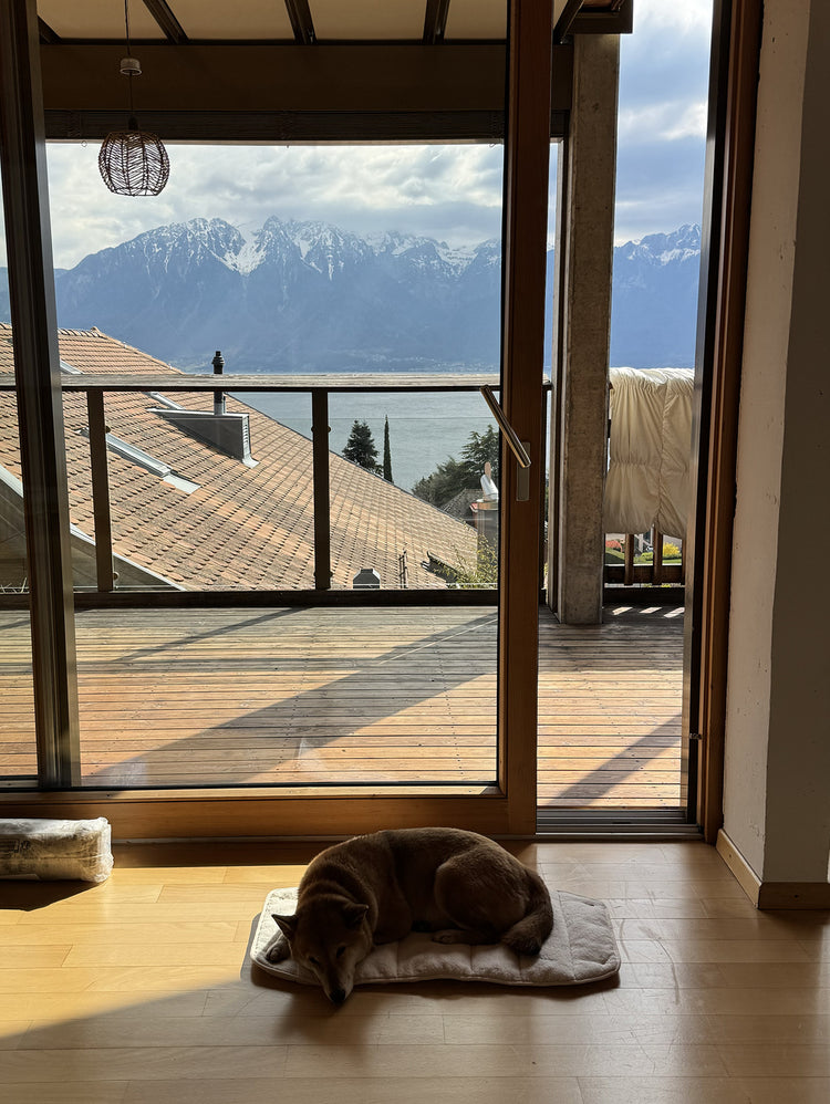 il Portatore Bouclé – Marshmallow