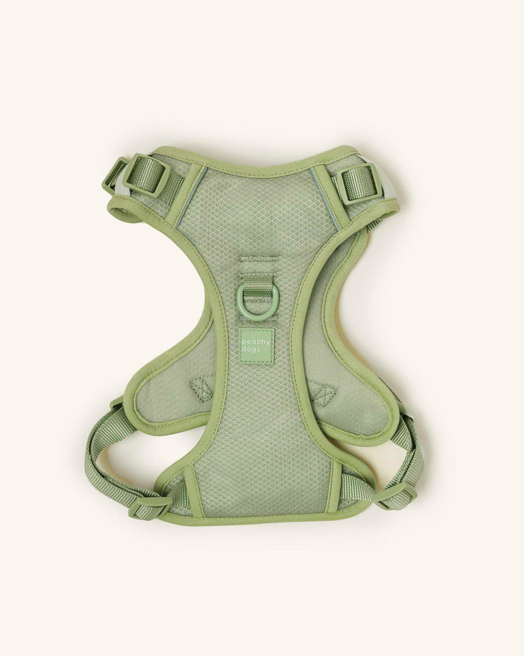 Pettorina Matcha Classic 2.0