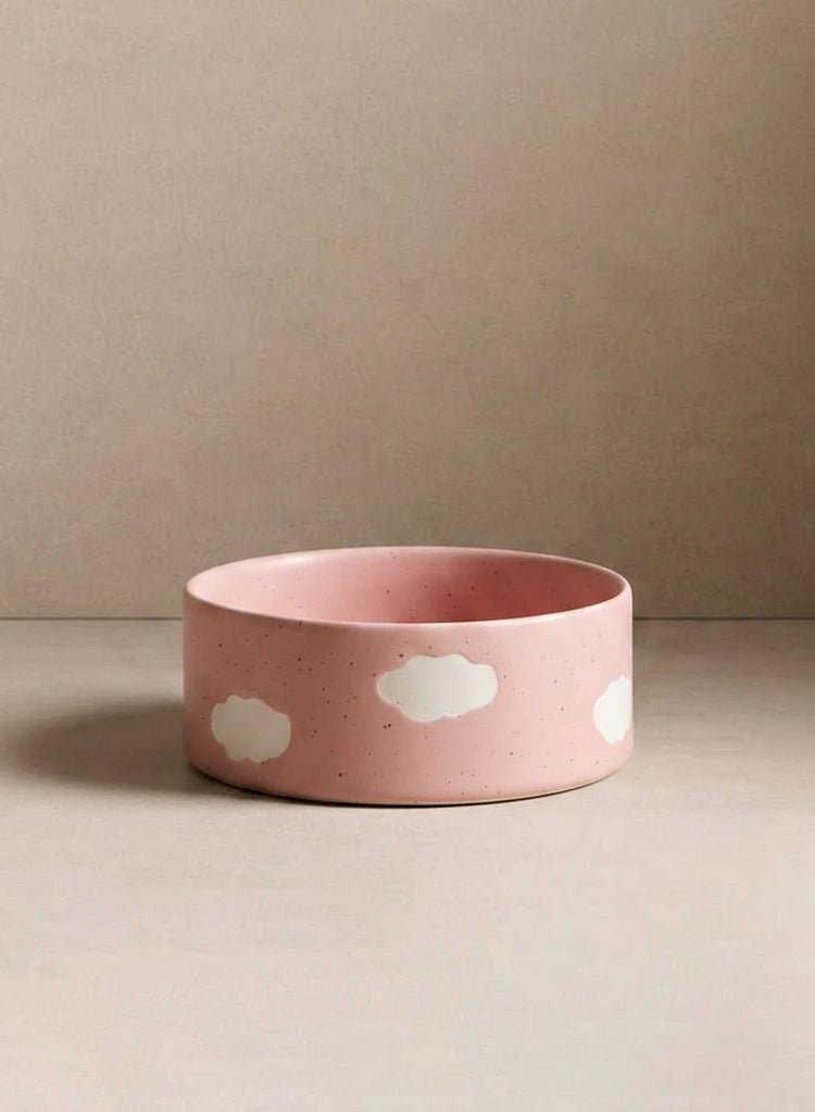 Pink Cloud Pet Bowl Set