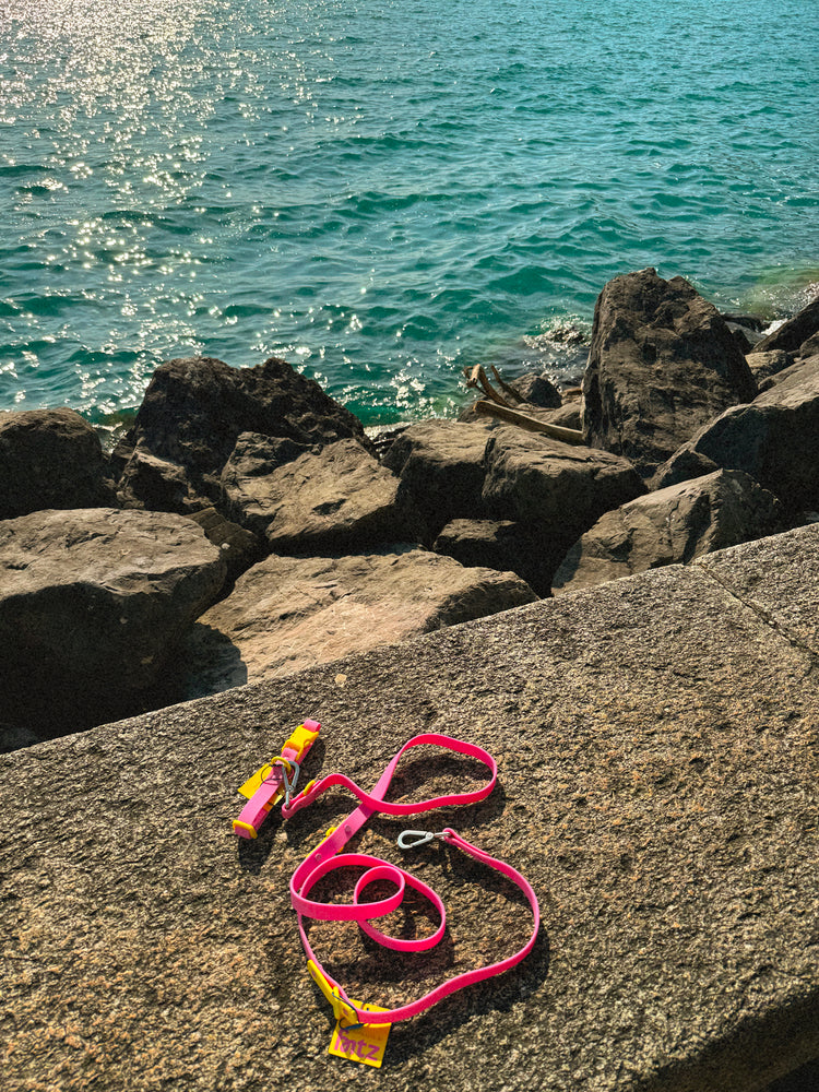 The Fritz Collar – Pink Lemonade