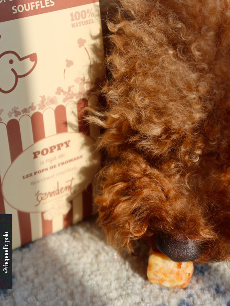 Poppy - Dés de fromage soufflés pour chien