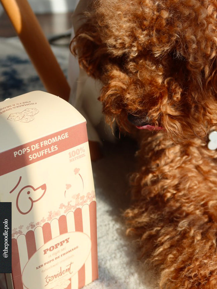 Poppy - Dés de fromage soufflés pour chien