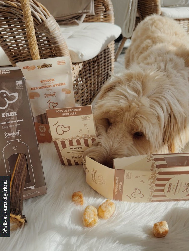 Fabi - Bevel Deer Antler Smoked with Ham