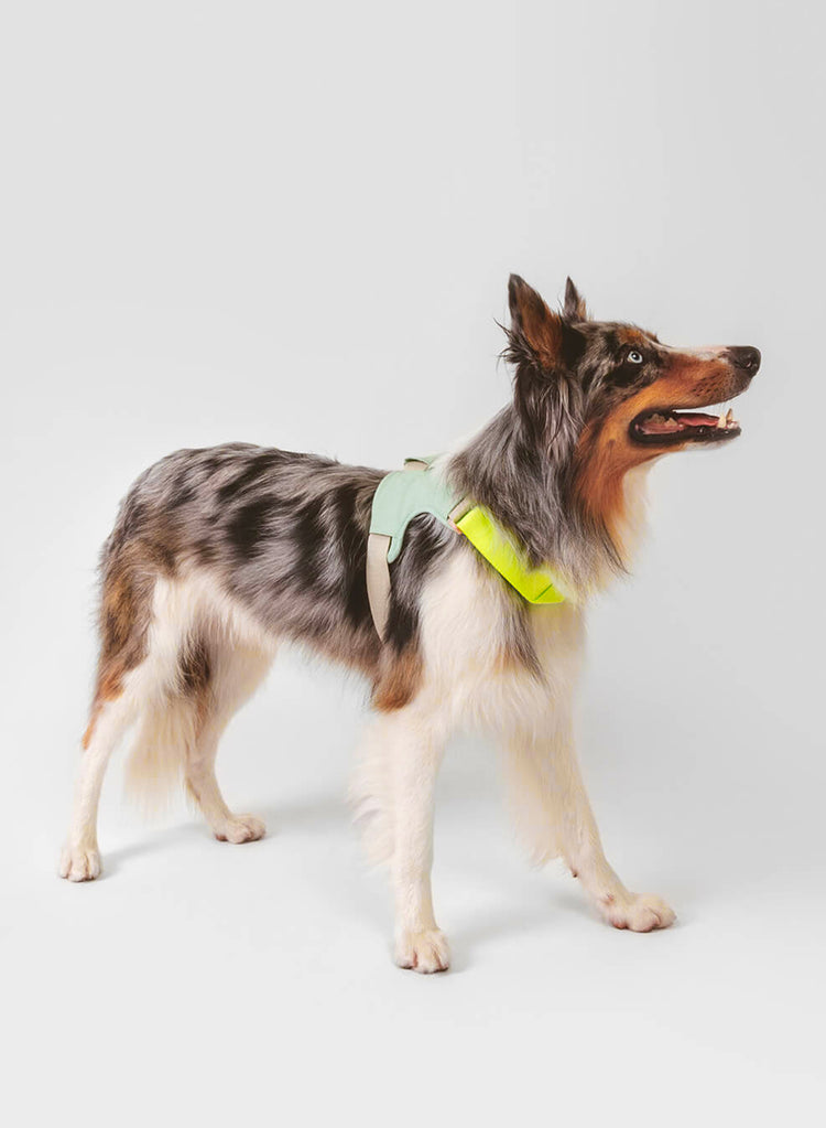 Hug Harness – Mint