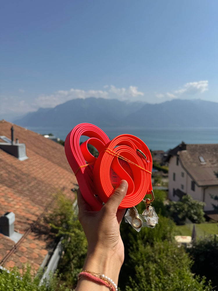 Hand holding leashes with scenic background of mountains and lake