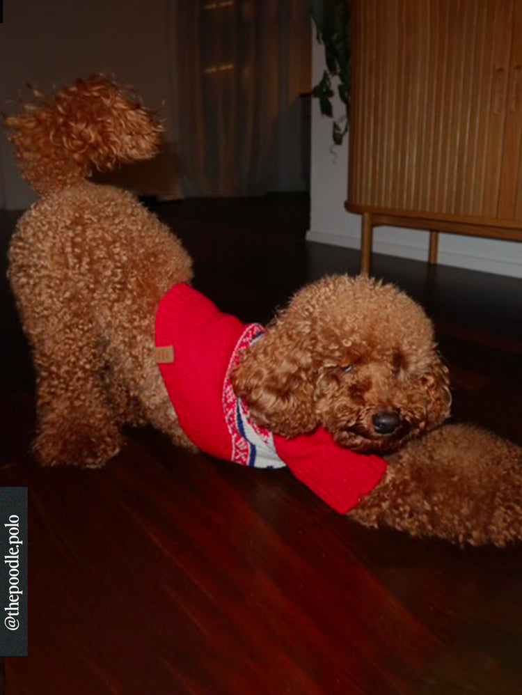 Après-Ski-Urlaubs-Hundepullover (Gray Malin X tfd)