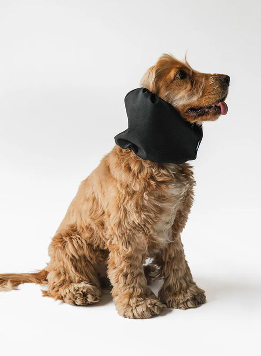 Dog Snood Waterproof – Black