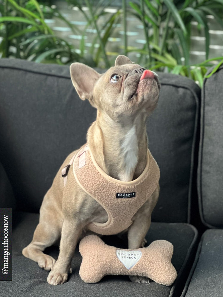 Giocattolo in osso Teddy Rupert