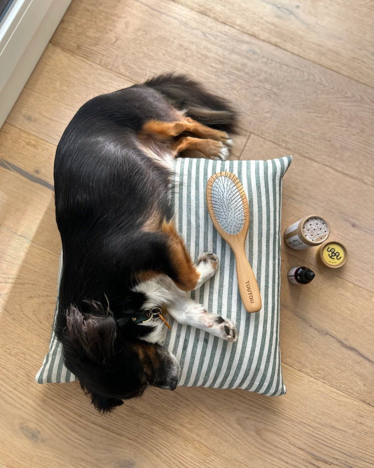 Brosse pour les poils longs et mi-longs