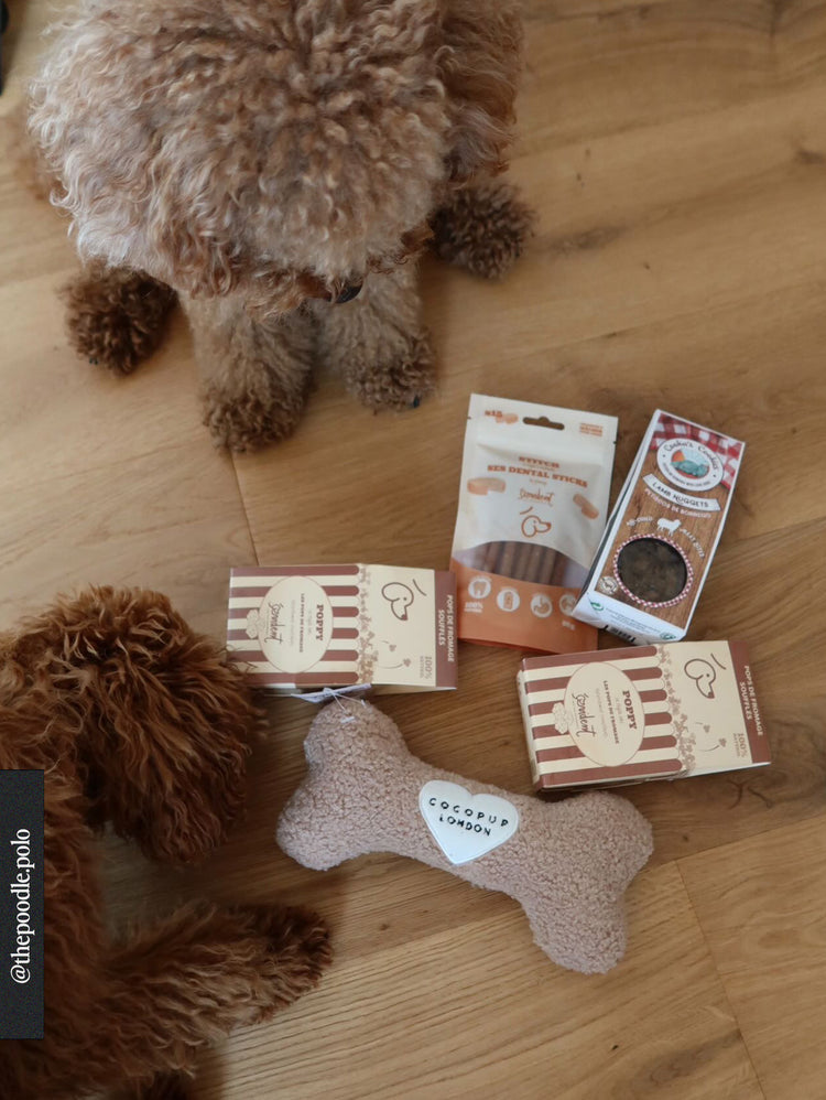 Dog toys and treats on a wooden floor with a dog in the background.