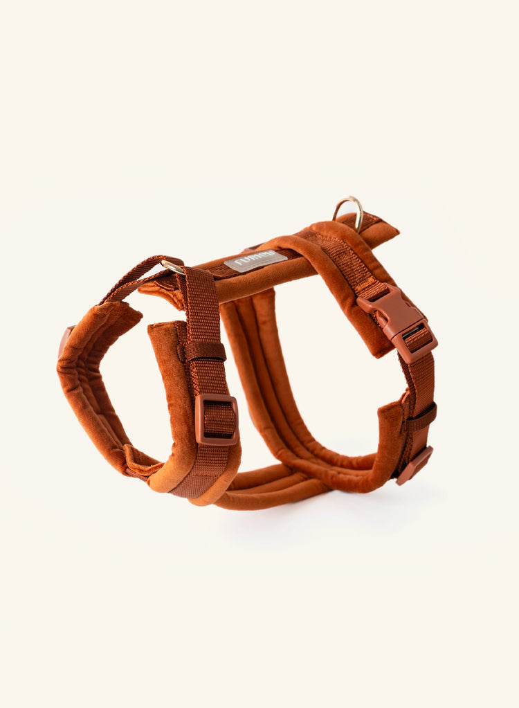 Furlou Brown dog harness on a white background