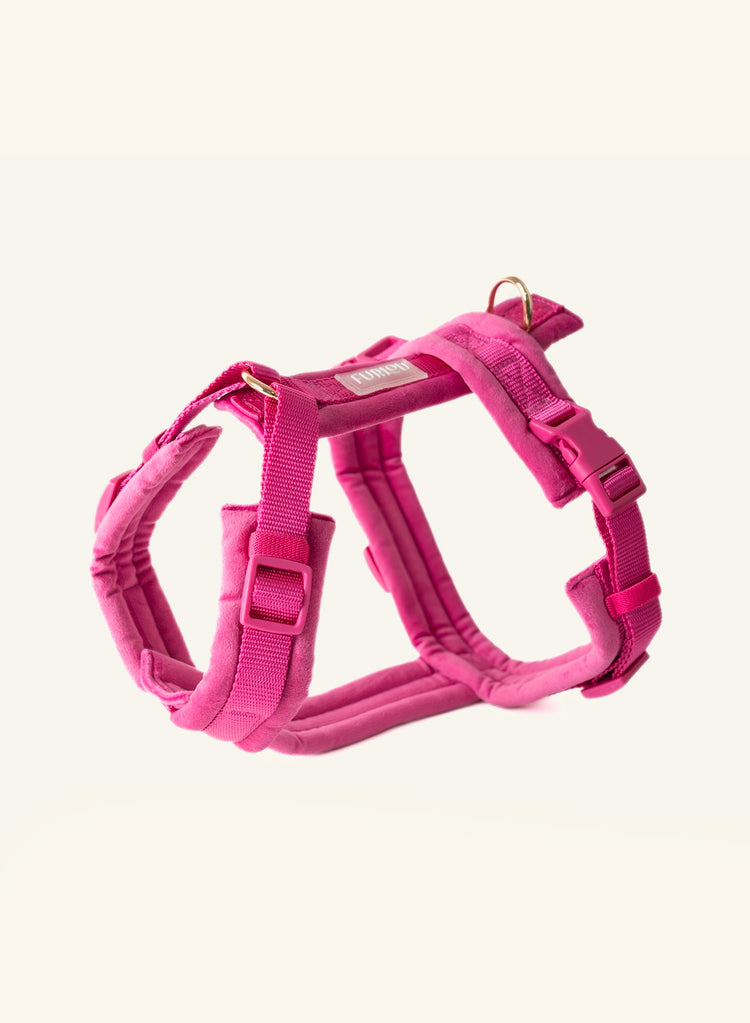 Pink dog harness Furlou on a white background