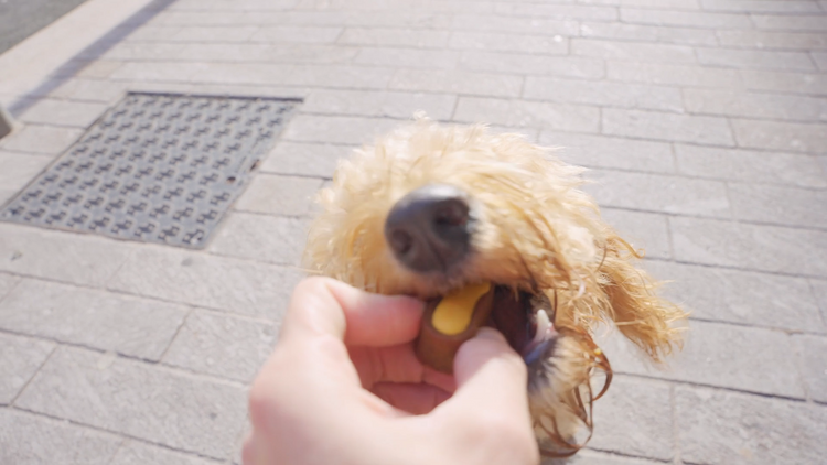 Box of 7 Moelleux - Immunity