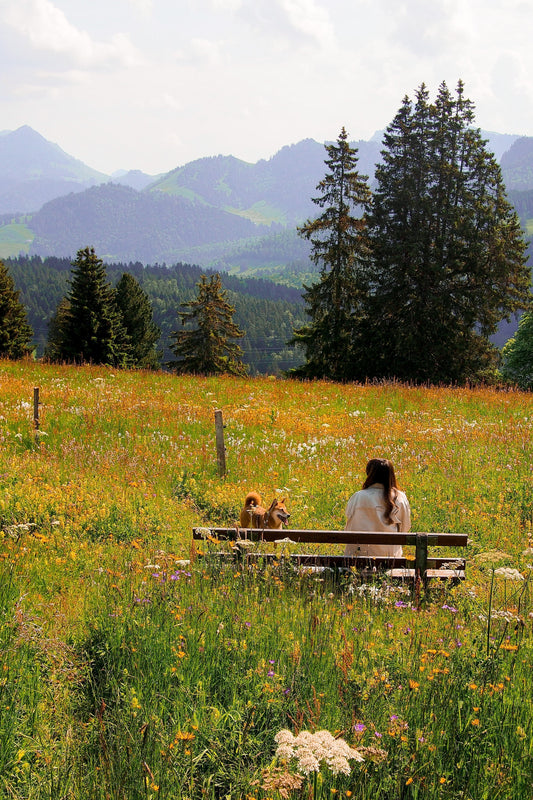 Discover one of our favourite Spring hikes: Le Sentier des Narcisses