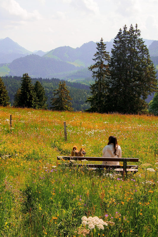 Discover one of our favourite Spring hikes: Le Sentier des Narcisses