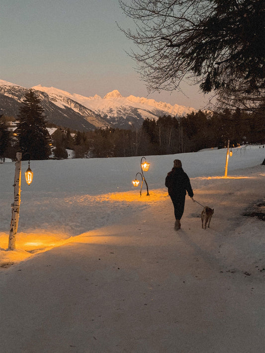 3 balades hivernales faciles en Valais à tester absolument