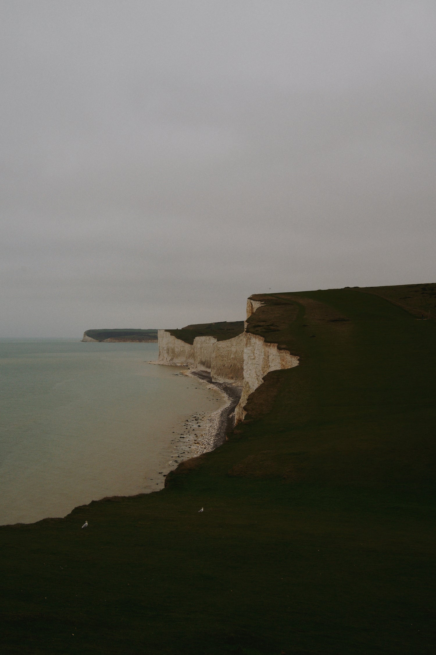 Visiter Seven Sisters à Brighton (Sussex) avec un chien