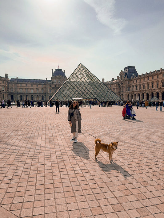 Visiter la France avec un chien