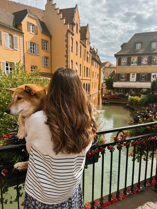 5 things to do in Colmar with your dog