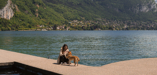 What to do in Annecy with a dog