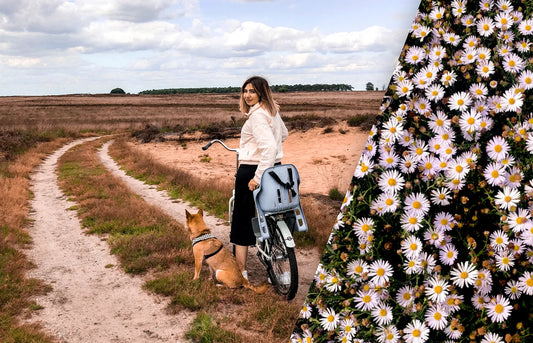 Visiter les Pays-Bas avec un chien - Kitsune & Jo