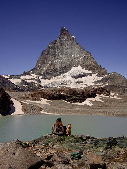 5 jours à Zermatt avec un chien