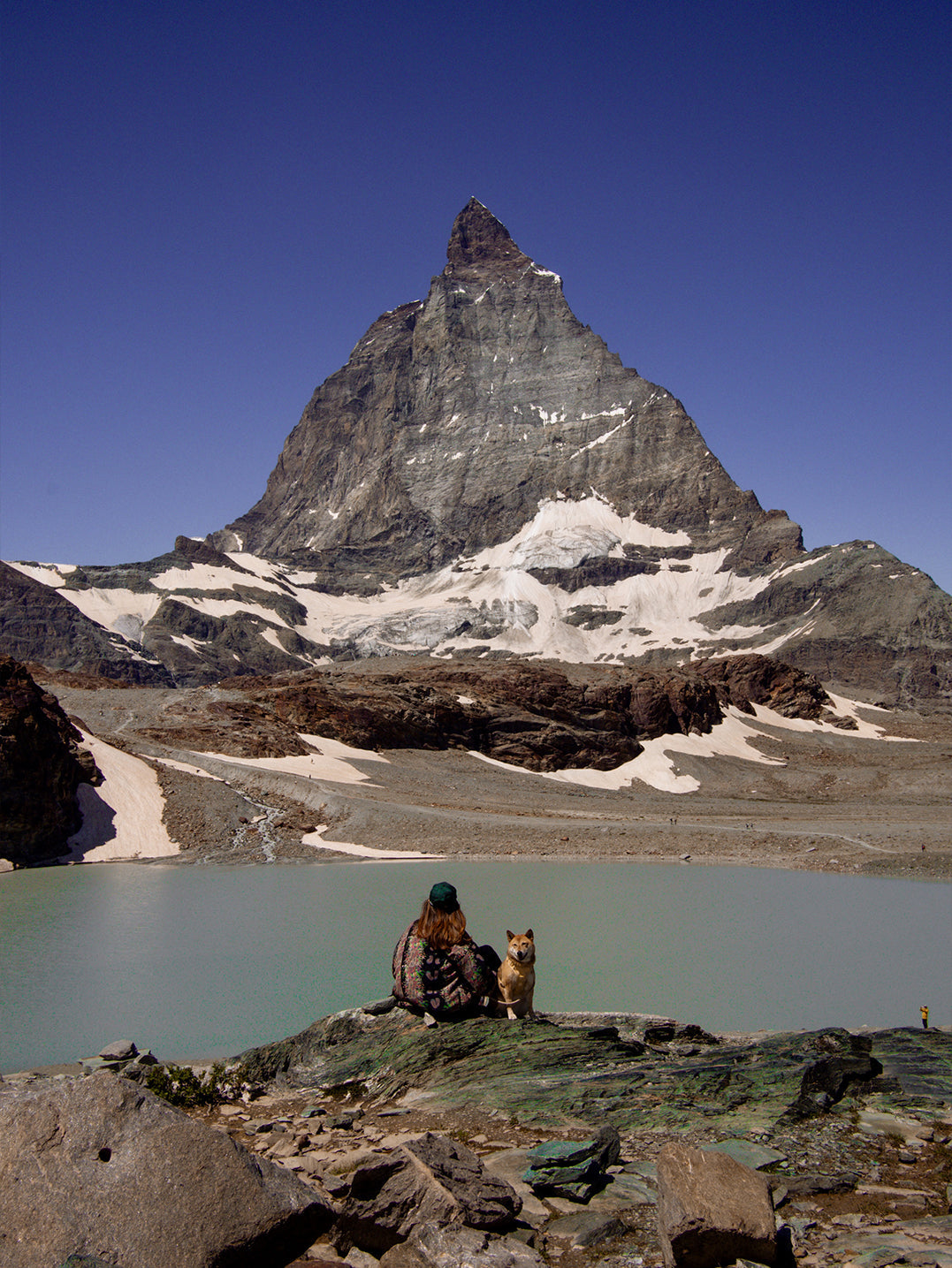 5 days in Zermatt with a dog