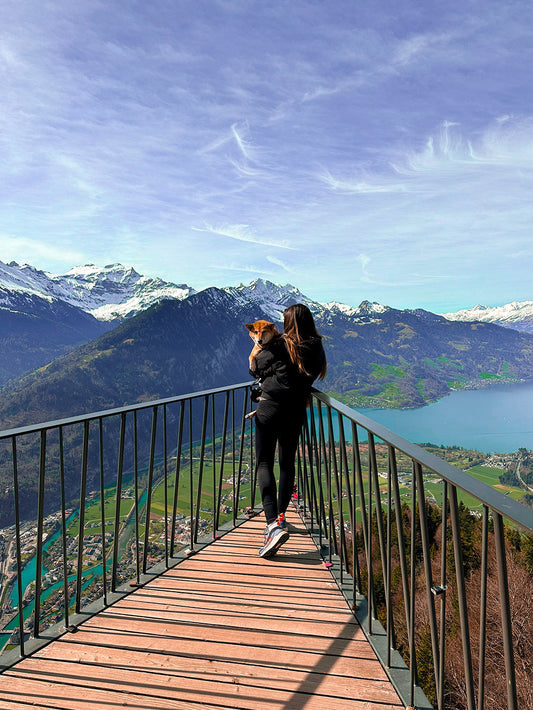 8 Dog-Friendly Trails in Interlaken