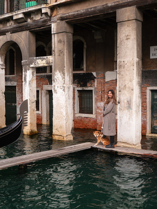 Travel with your dog: One week in Venezia