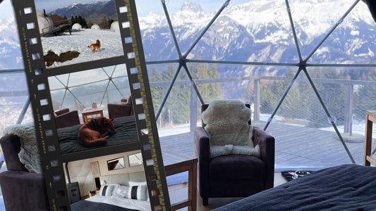 Dog friendly hotels list in Switzerland - Kitsune & Jo