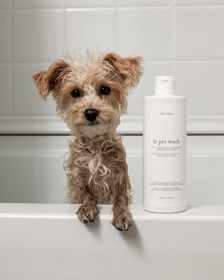 Le Pet Wash