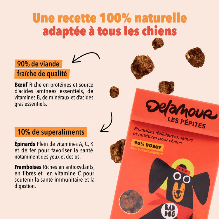 Les Pépites – Air-Dried Beef Snacks