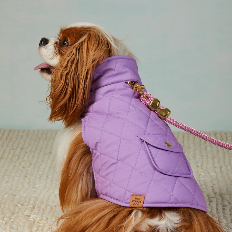Mini Meadow Reversible Dog Jacket