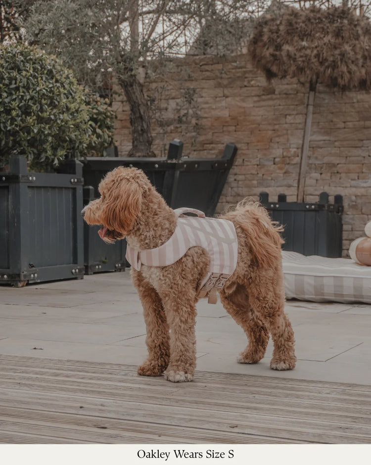 The Tide Rider Life Jacket