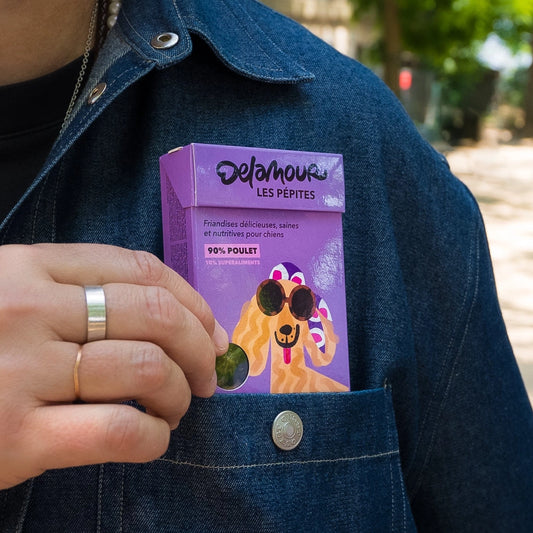 Les Pépites – Air-Dried Chicken Snacks