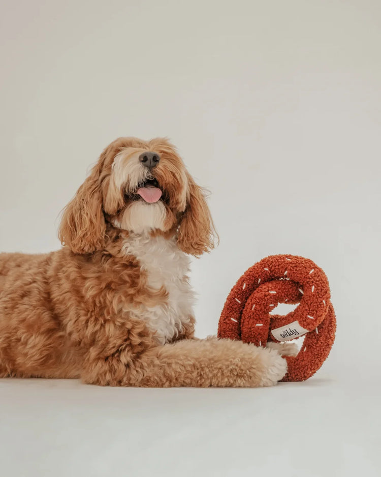 Salted Pretzel Toy