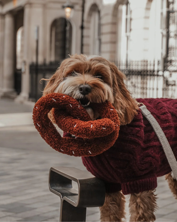 Salted Pretzel Toy