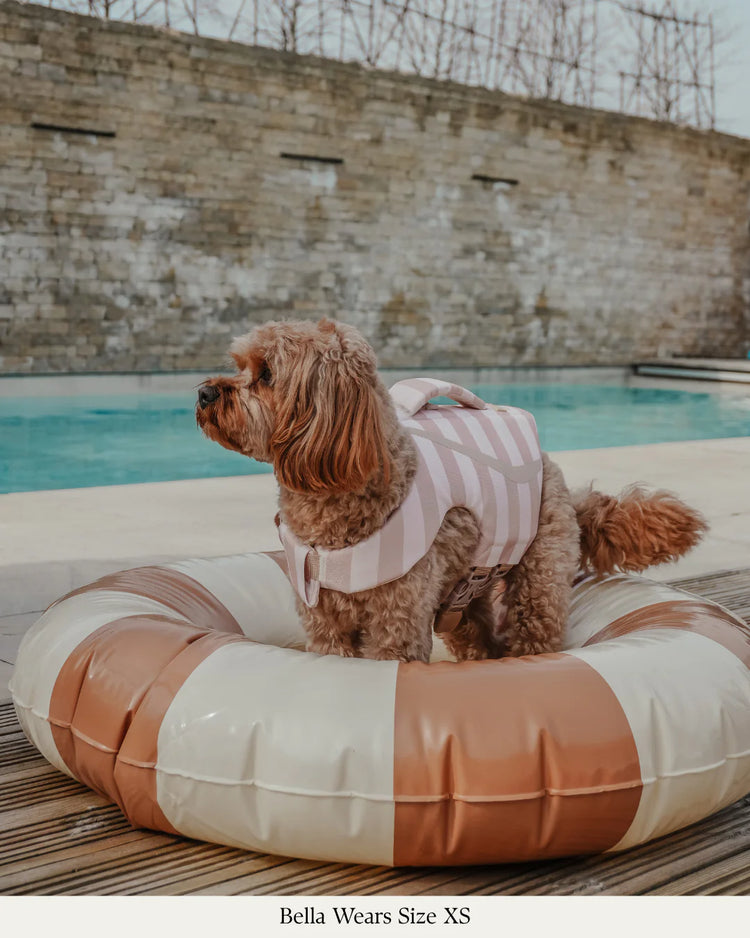 The Tide Rider Life Jacket