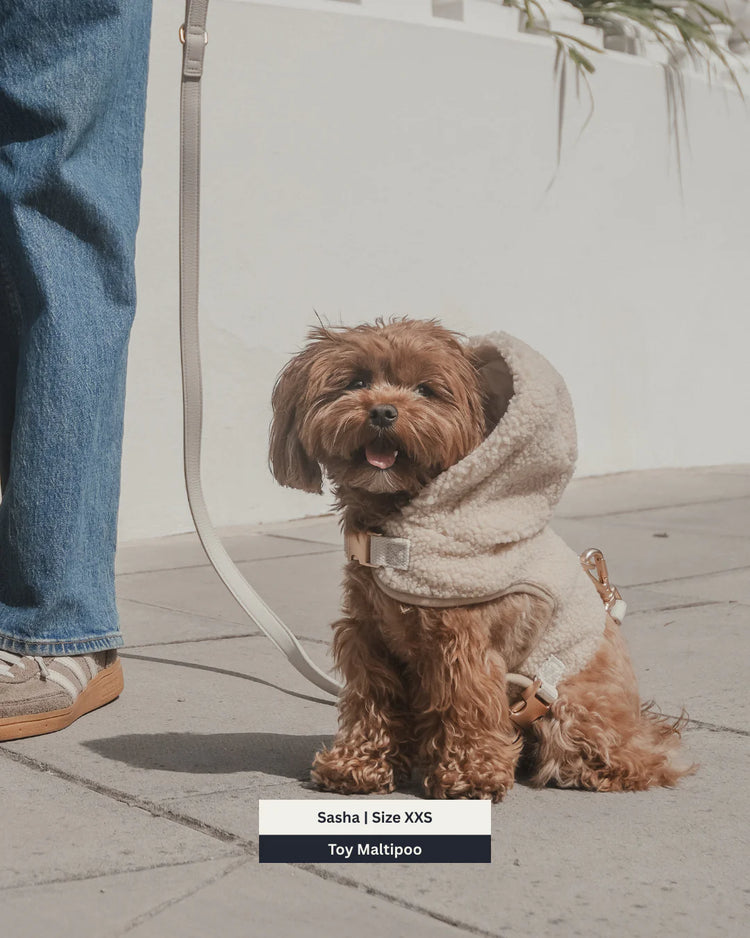 Harnais x Sweat à Capuche