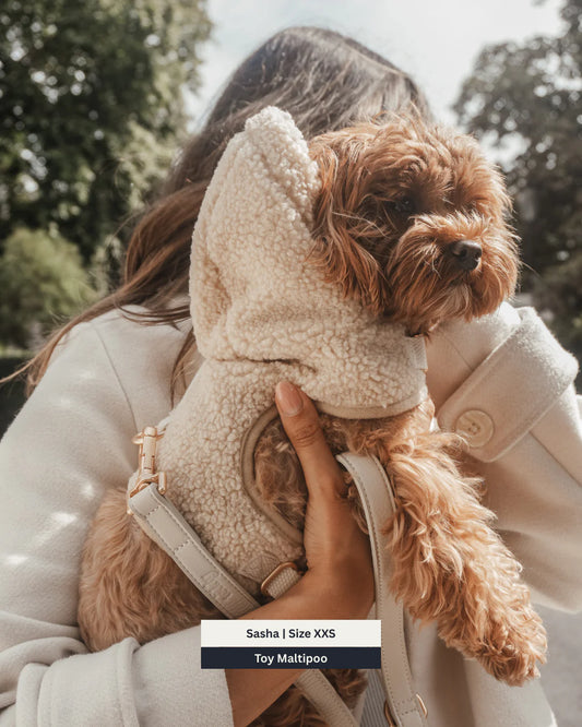 Harnais x Sweat à Capuche