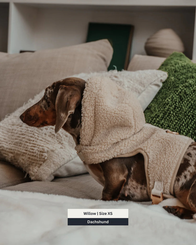 Harnais x Sweat à Capuche