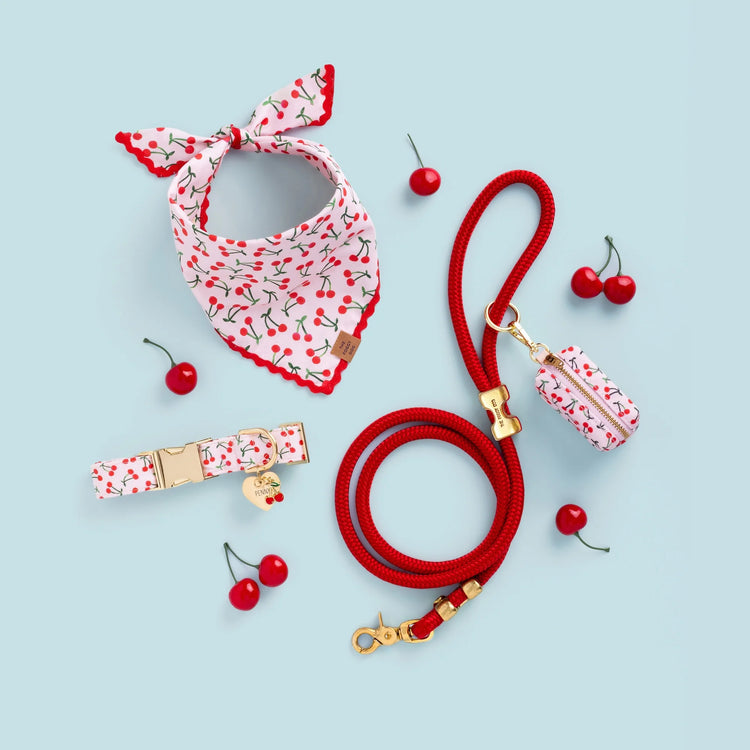 Bandana Cerises
