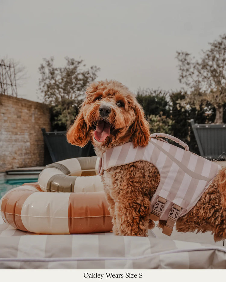 The Tide Rider Life Jacket