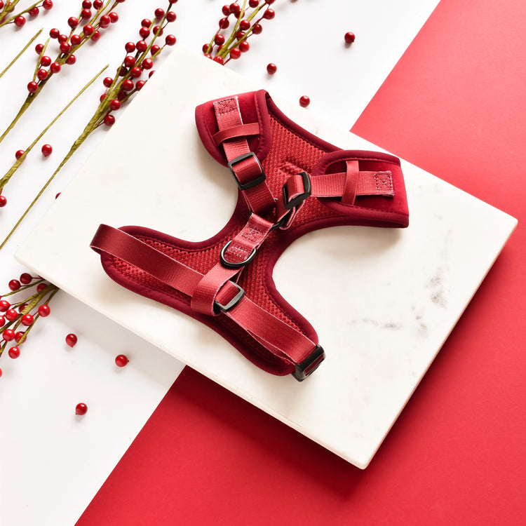 Velvet Adjustable Neck Harness – Berry Red