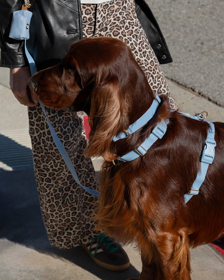 Cloud Lite Dog Harness – Malibu