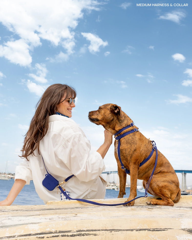 Cloud Lite Dog Harness – Signature Navy