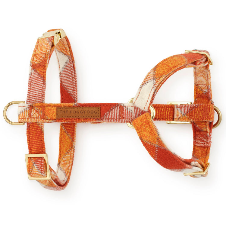 Pumpkin Spice Flannel Harness