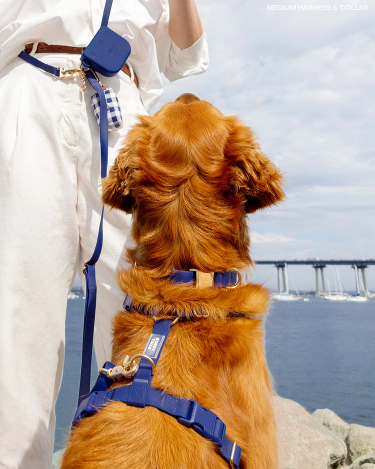 Cloud Lite Dog Harness – Signature Navy