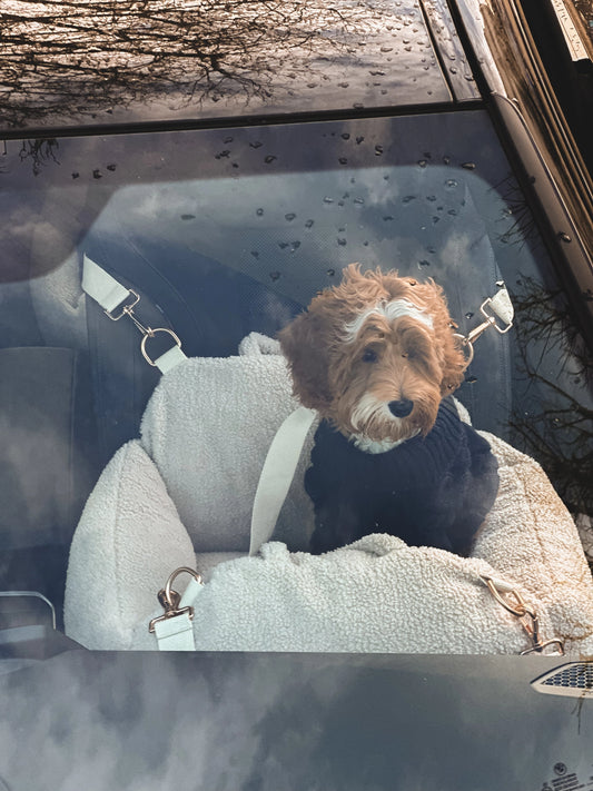 Il seggiolino auto accogliente